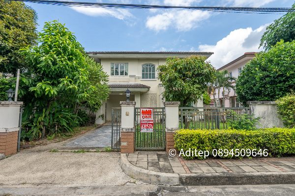 ที่ดิน ขาย ขายถูกที่ดินดอกคำใต้ พะเยา เหมาะสร้างบ้านอยู่อาศัย