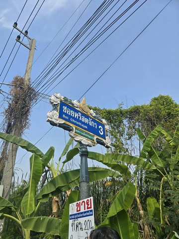 บ้านเดี่ยว ขาย Luxury-detached-house-for-sale, rightintheheartofSukhumvit บ้านเดี่ยวหรู2ชั้นพร้อมสระว่ายน้ำสุขุมวิท in-Sukhumvit71,SoiPridiBanomyong26 Luxury-detached-house-for-sale,