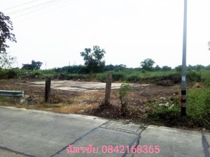 ที่ดิน ขาย เหมาะจัดสรรแบ่งขาย, โครงการเชิงพาณิชย์ เหมาะทำหมู่บ้านจัดสรร ที่ดินธัญบุรีคลอง6,หรือปทุมธานี ขายถูก