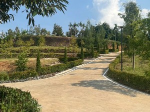 ขาย ที่ดิน 泰国尖竹汶府榴莲果园投资立即 CheaperthanOthersbyMillions- 泰国榴莲果园投资 ลงทุนทุนสวนเรียน-จันทบุรี-รับรายได้ทันทีจากผลผลิต Durian-Farm-Investment-Chanthaburi-