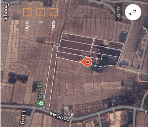 ที่ดิน ขาย ขายที่ดินอำเภอเมืองลำพูนราคาถูก ใกล้แหล่งชุมชน-ตลาด-ห้าง-โรงพยาบาล ตำบลป่าสัก ติดถนนบ้านบูชา-ป่าสัก เจ้าของขายเอง